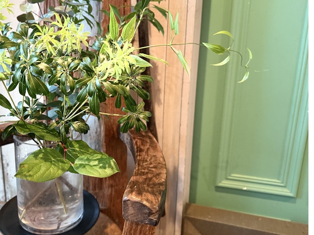 枝物の花瓶の飾り方(自宅でも出来る簡単!)の紹介画像4