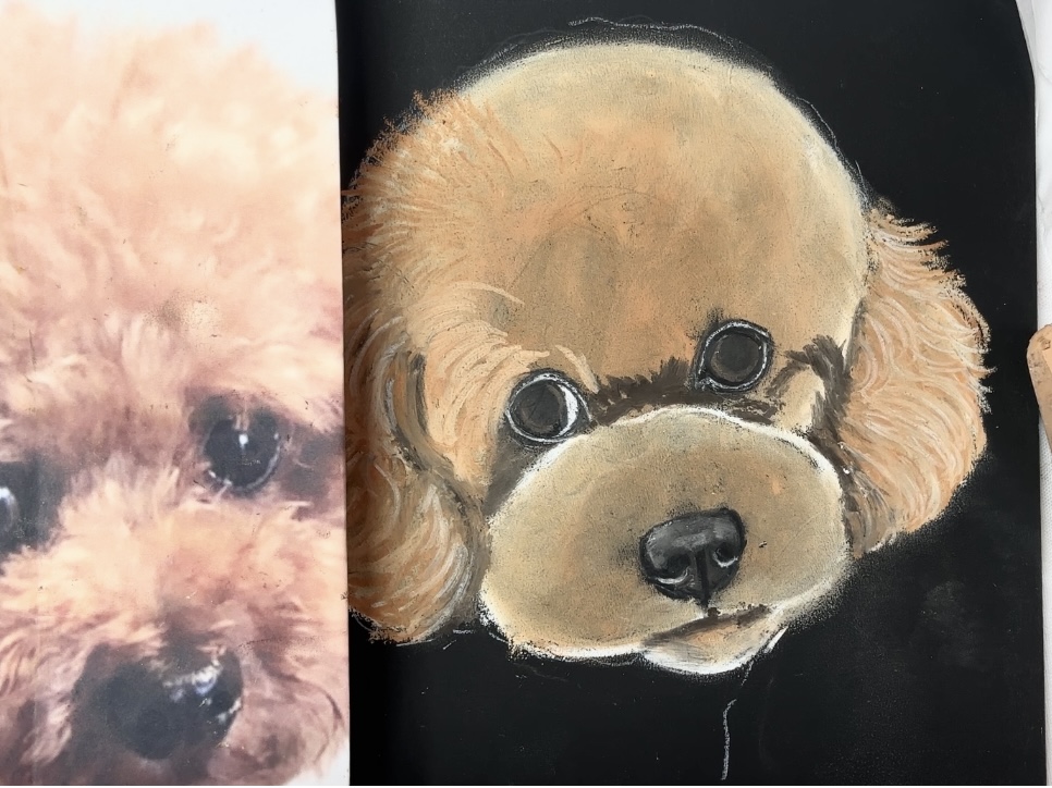 チョークアートでペットの似顔絵を描こう【プードル基礎編(レッド)】の紹介画像4