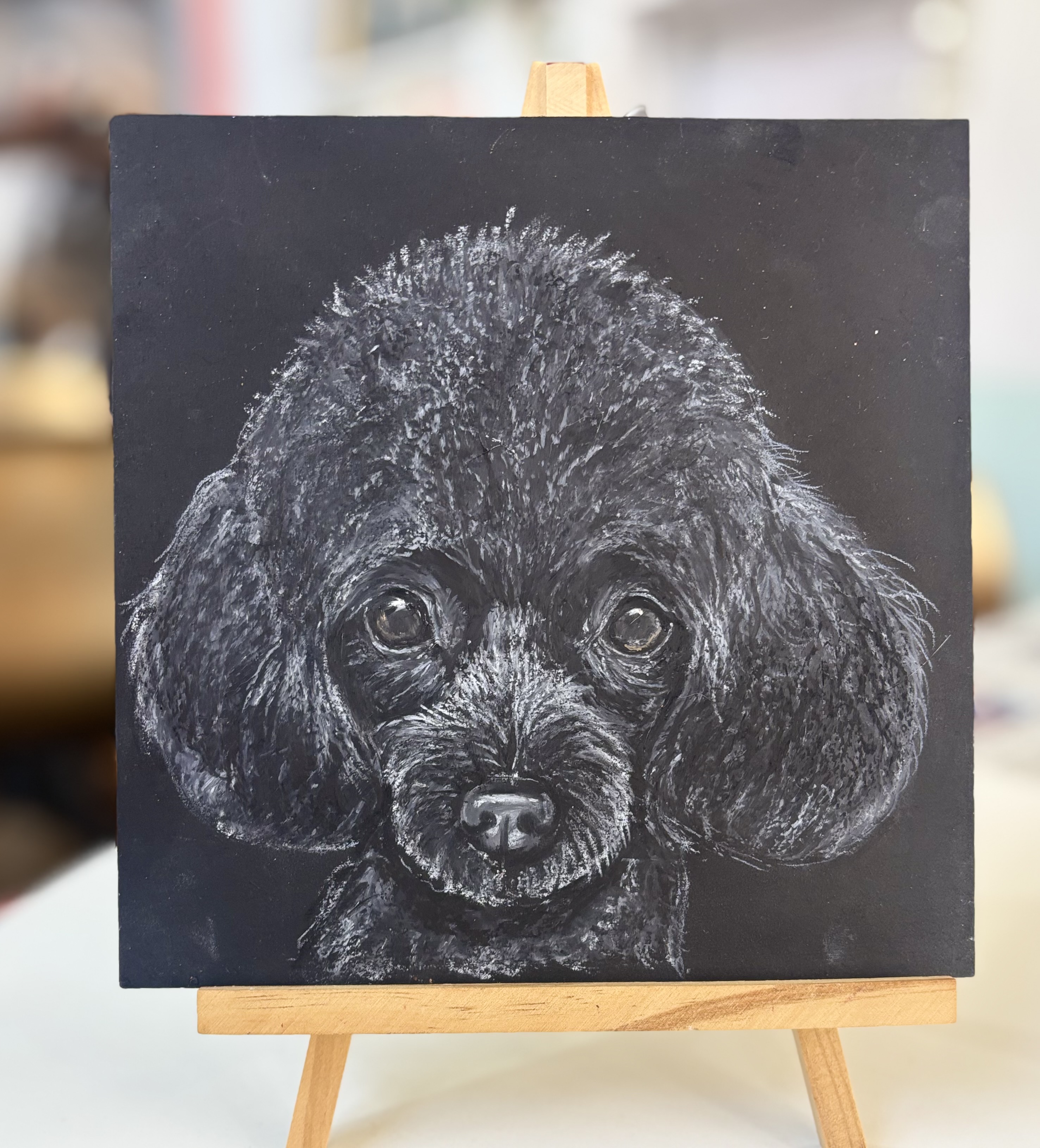 チョークアートを使ったプードルの描き方【アプリコット&ブラック編】の紹介画像1