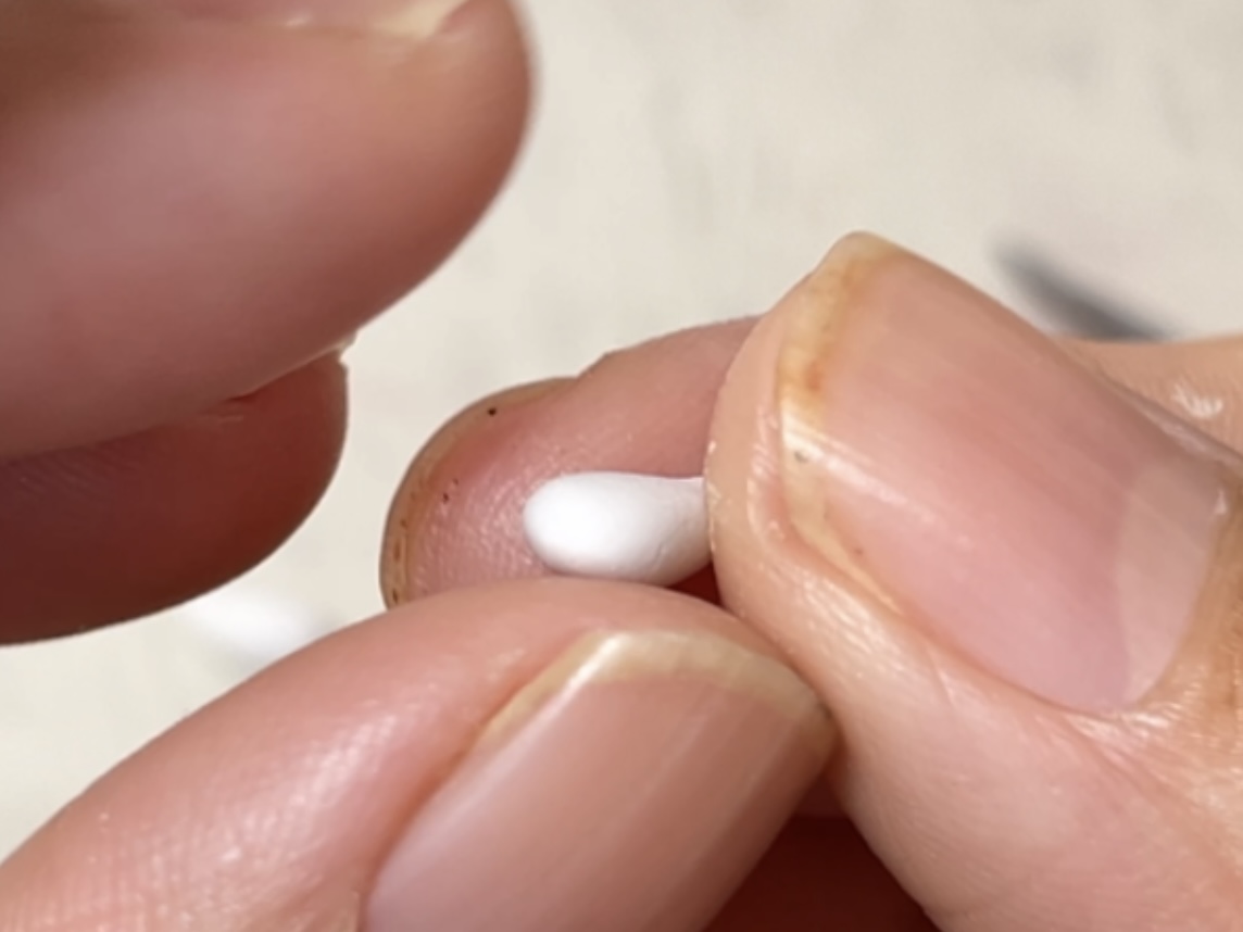 初級編18　ブルービーンの作り方の紹介画像1