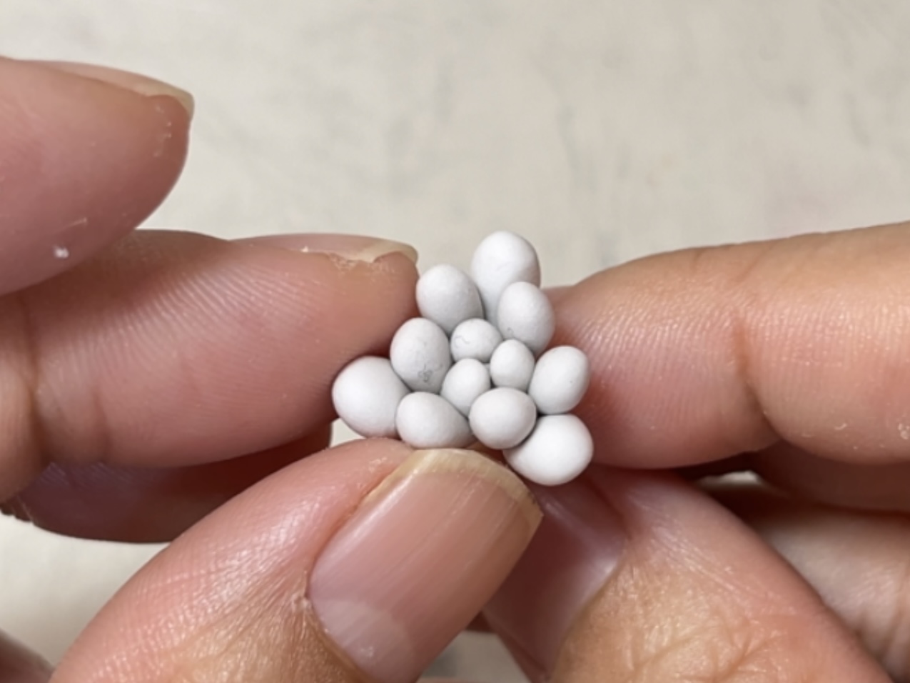 初級編18　ブルービーンの作り方の紹介画像2