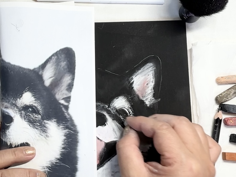 チョークアートでペットの似顔絵を描こう！【黒柴編】の紹介画像1