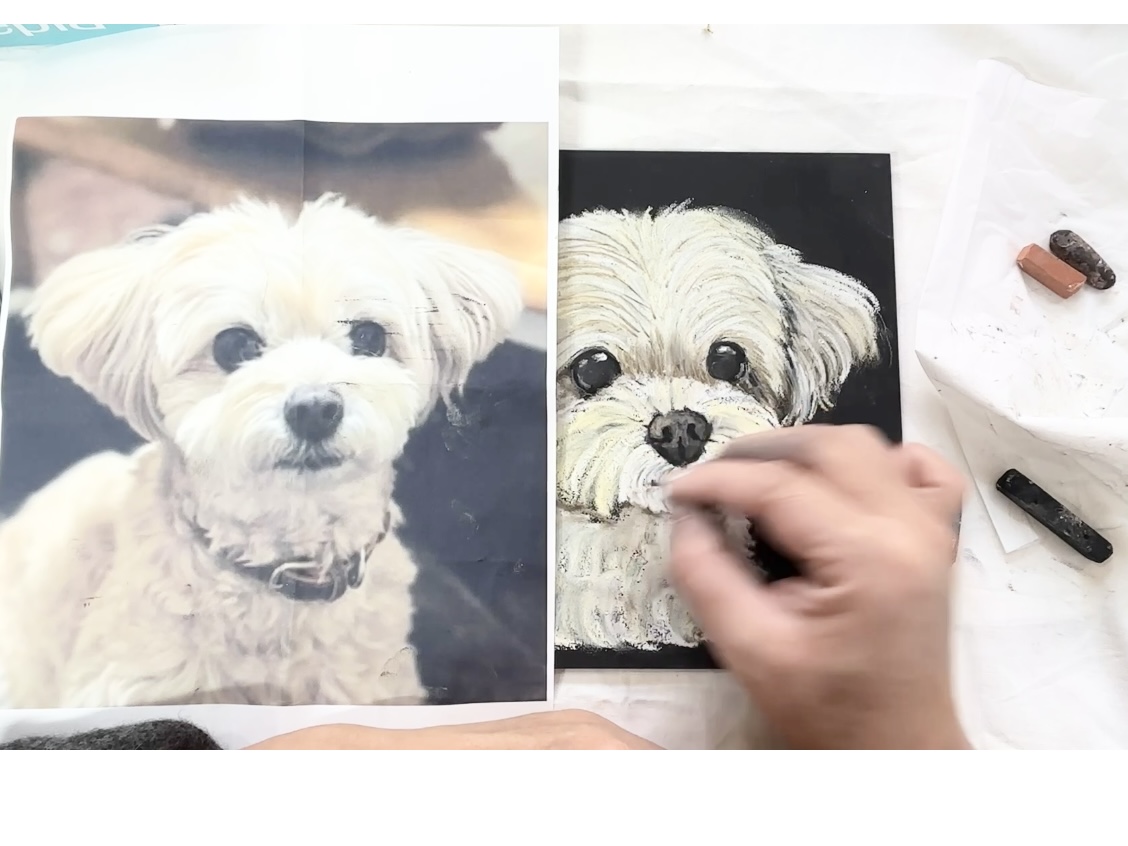 ペットの似顔絵を描こう！(ポメプー編)の紹介画像1