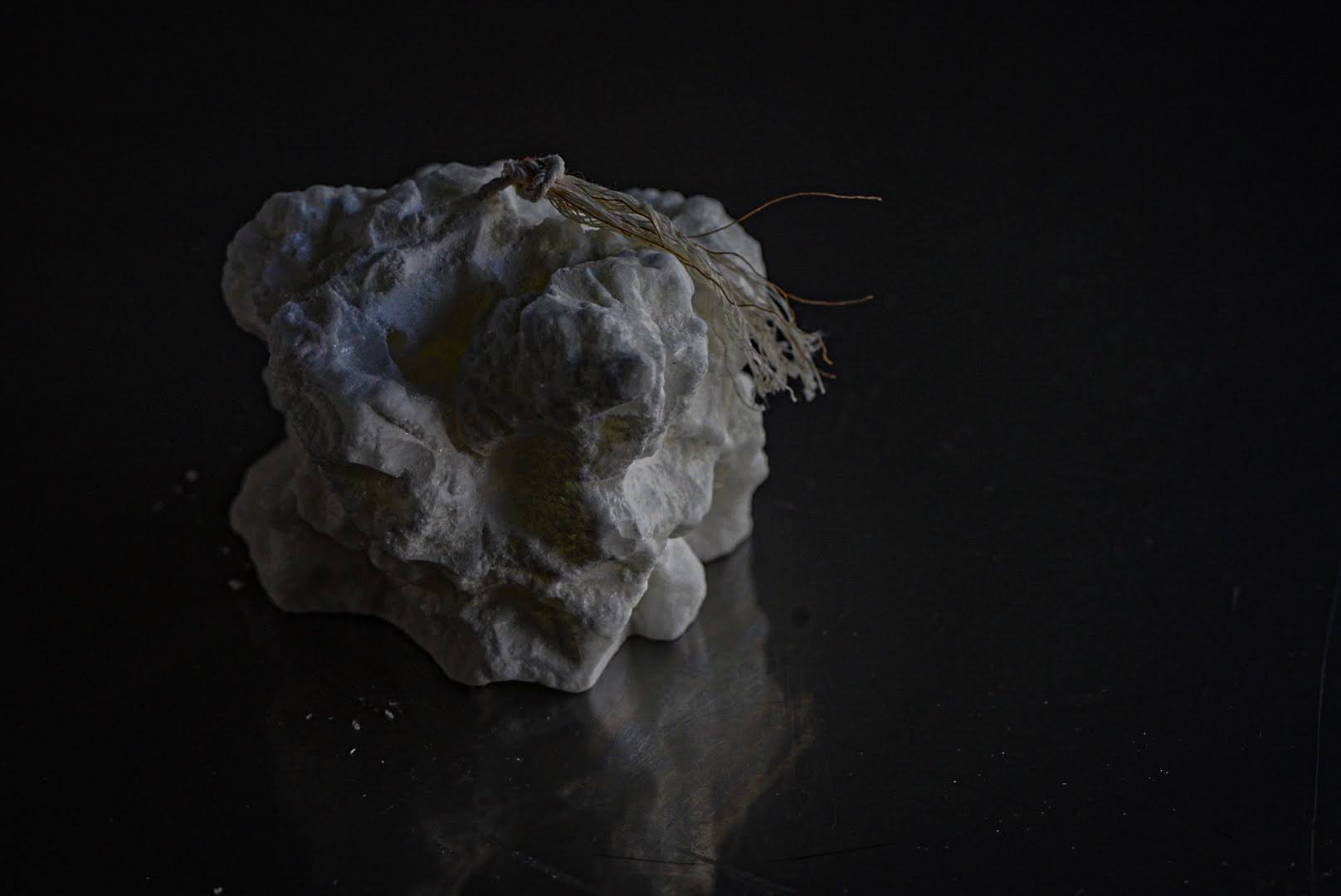 パームワックスの蝋燭の作り方（foundationコースLesson23）の紹介画像1