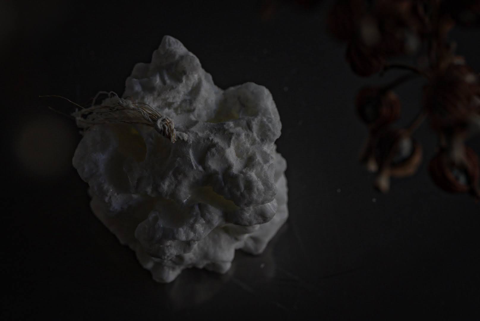 パームワックスの蝋燭の作り方（foundationコースLesson23）の紹介画像2