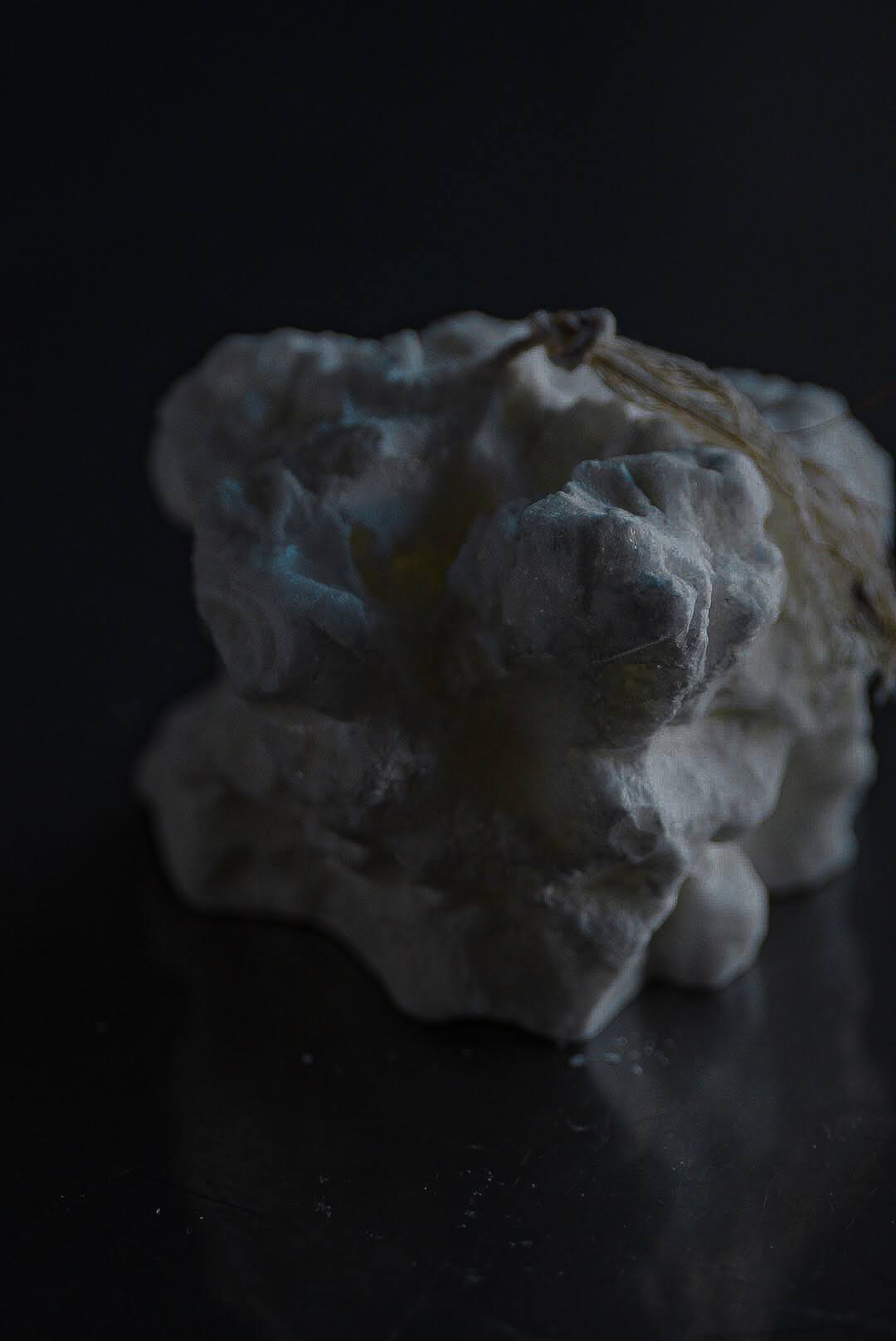 パームワックスの蝋燭の作り方（foundationコースLesson23）の紹介画像3