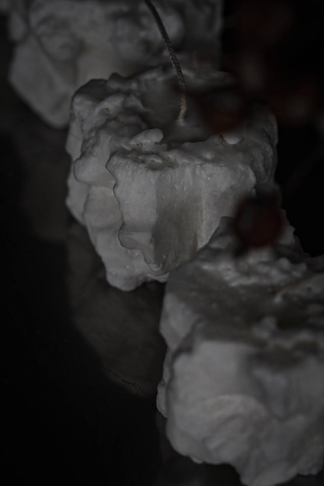 パームワックスの蝋燭の作り方（foundationコースLesson23）の紹介画像7