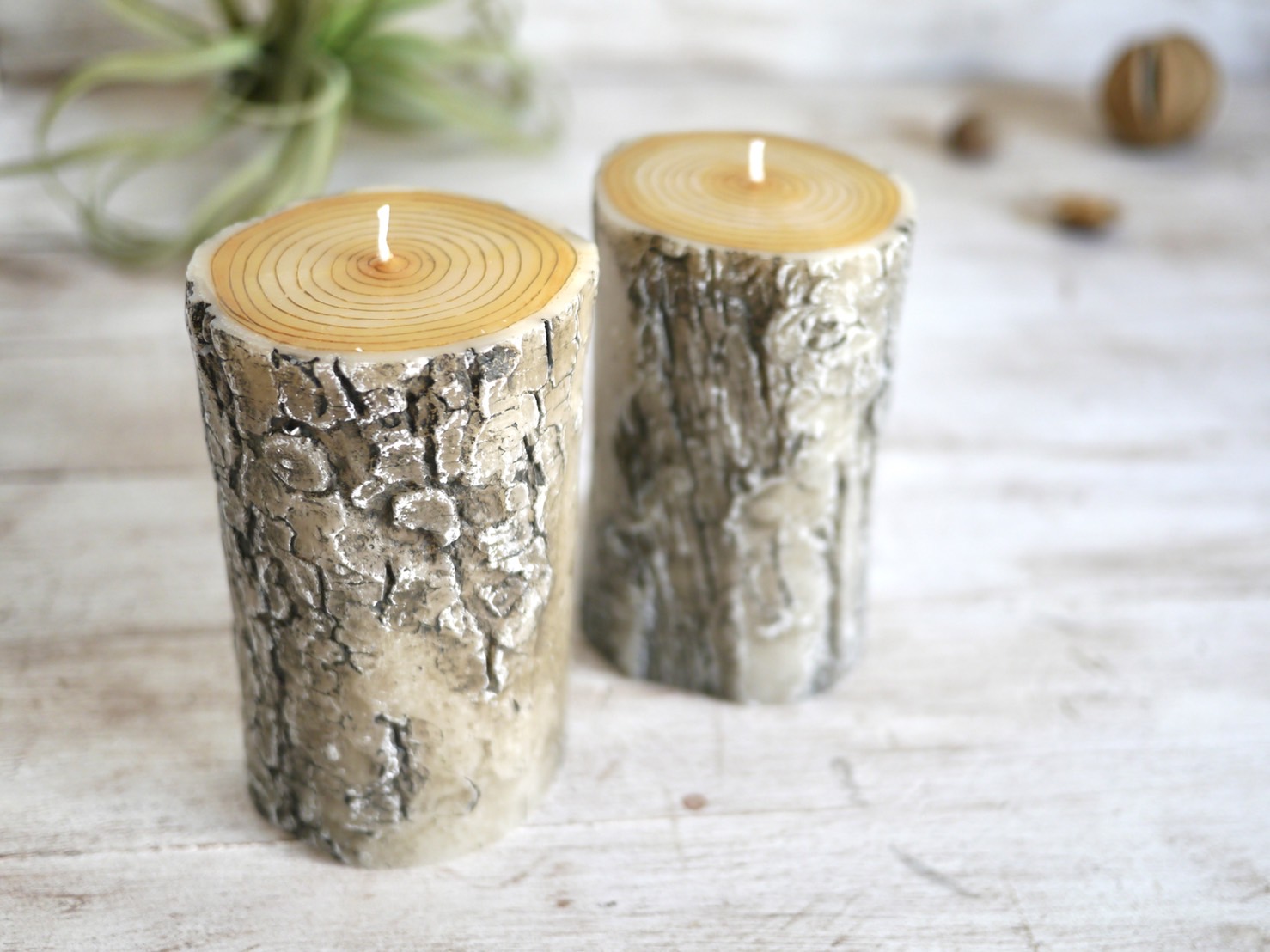 丸太キャンドルWHITEの作り方［How to make LOG CANDLE WHITE］の紹介画像1