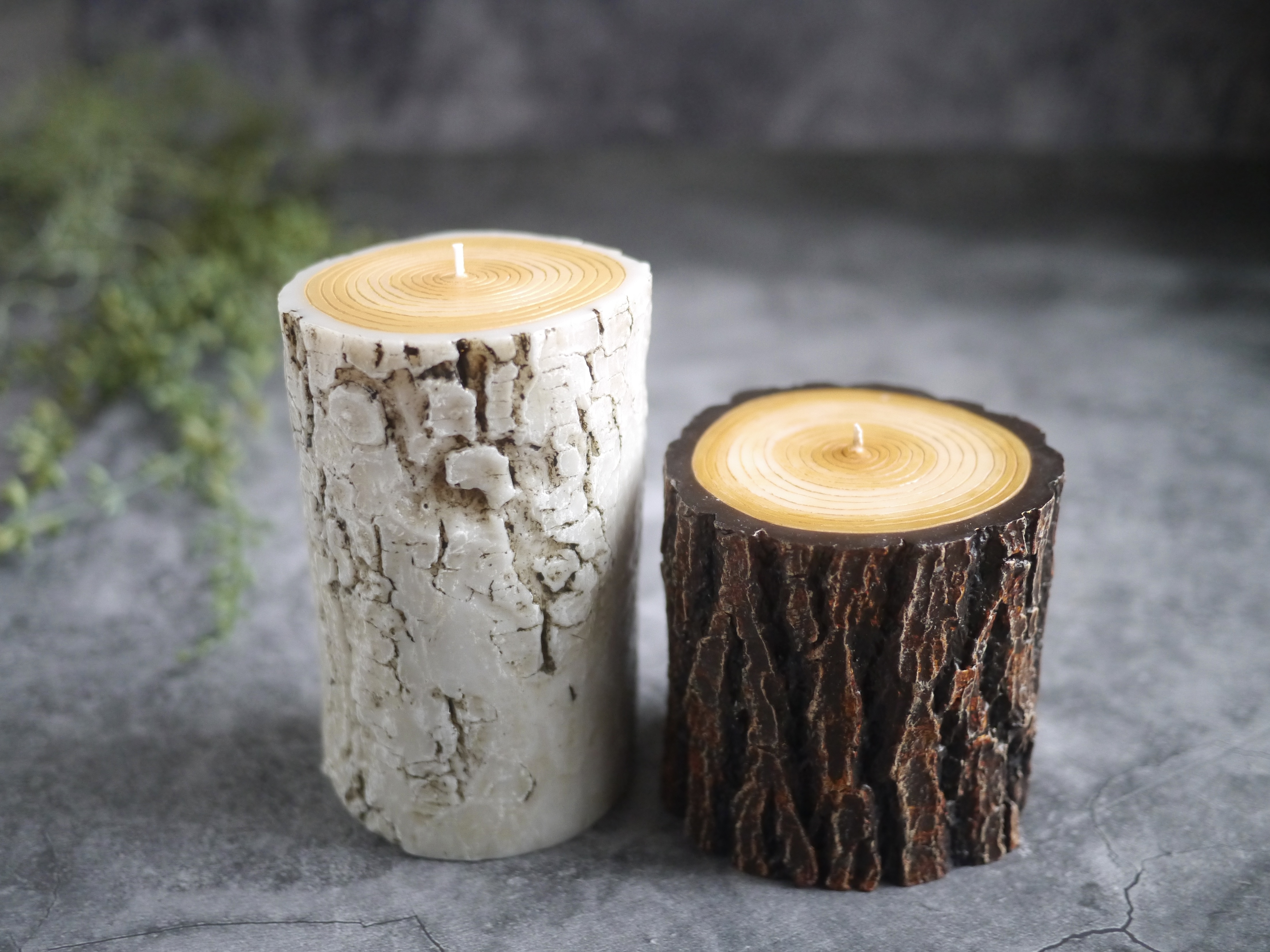 丸太キャンドルの作り方 BROWN & WHITE セット［How to make LOG CANDLE BROWN & WHITE set］の紹介画像1